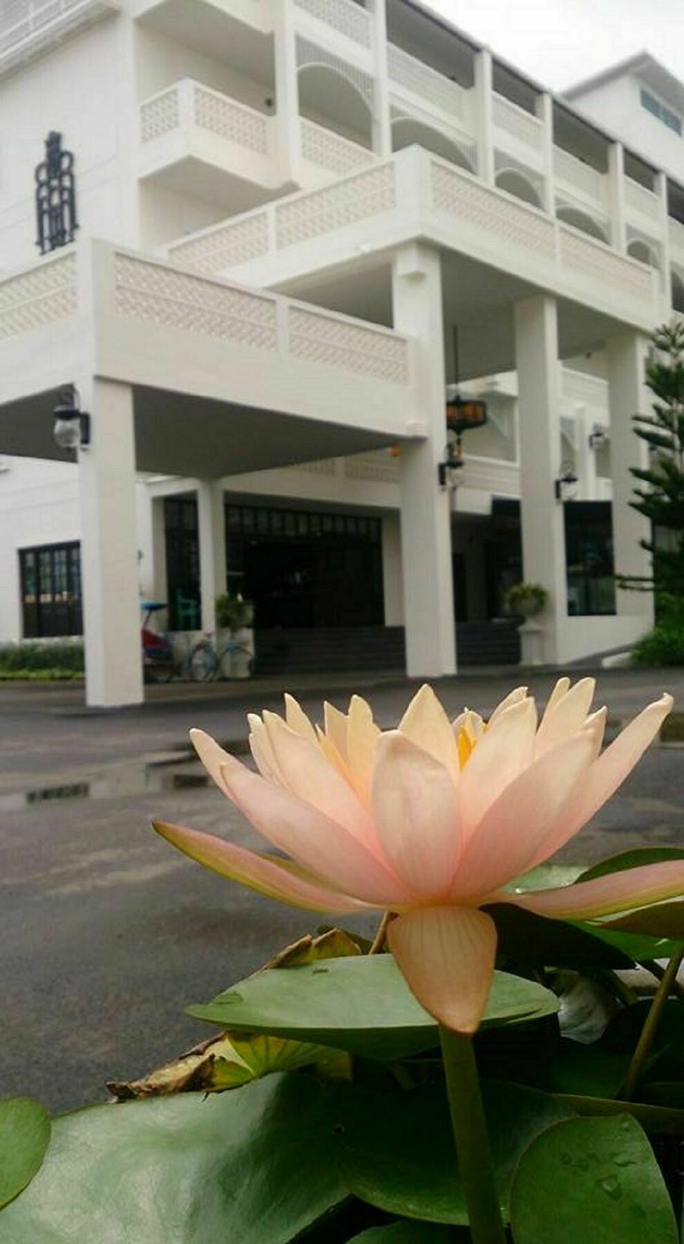 Koranaree Courtyard Boutique Hotel Nakhon Ratchasima Exterior photo
